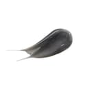Gem Miracle Black Pearl O2 Bubble Mask - Image 4