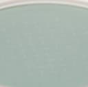 Neo Essential Blurring Finish Powder, 7g, 1pack - Image 4