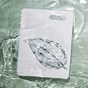 Mugwort Calming Gauze Mask, 10ea - Image 2