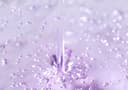 Onion Newpair B5 Ampoule, 50ml - Image 5