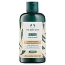 Ginger Scalp Care Conditioner, 250ml, 1pack - Image 1