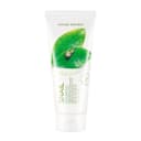 Fresh Herb Snail Cleansing Foam, 170ml, 1pack - Image 1