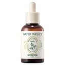 Pantothenic Water Parsley Ampoule, 50ml - Image 1