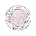 Too Shiny Highlighter, 4.8g, 01 Toe Shoes, 1pack - Image 1