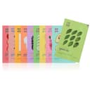 Pure Essence Mask Sheet [Avocado], 20ea - Image 2