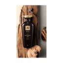 Jinsaengbo Scalp & Hair Nutrition Shampoo, 400ml, 1pack - Image 4