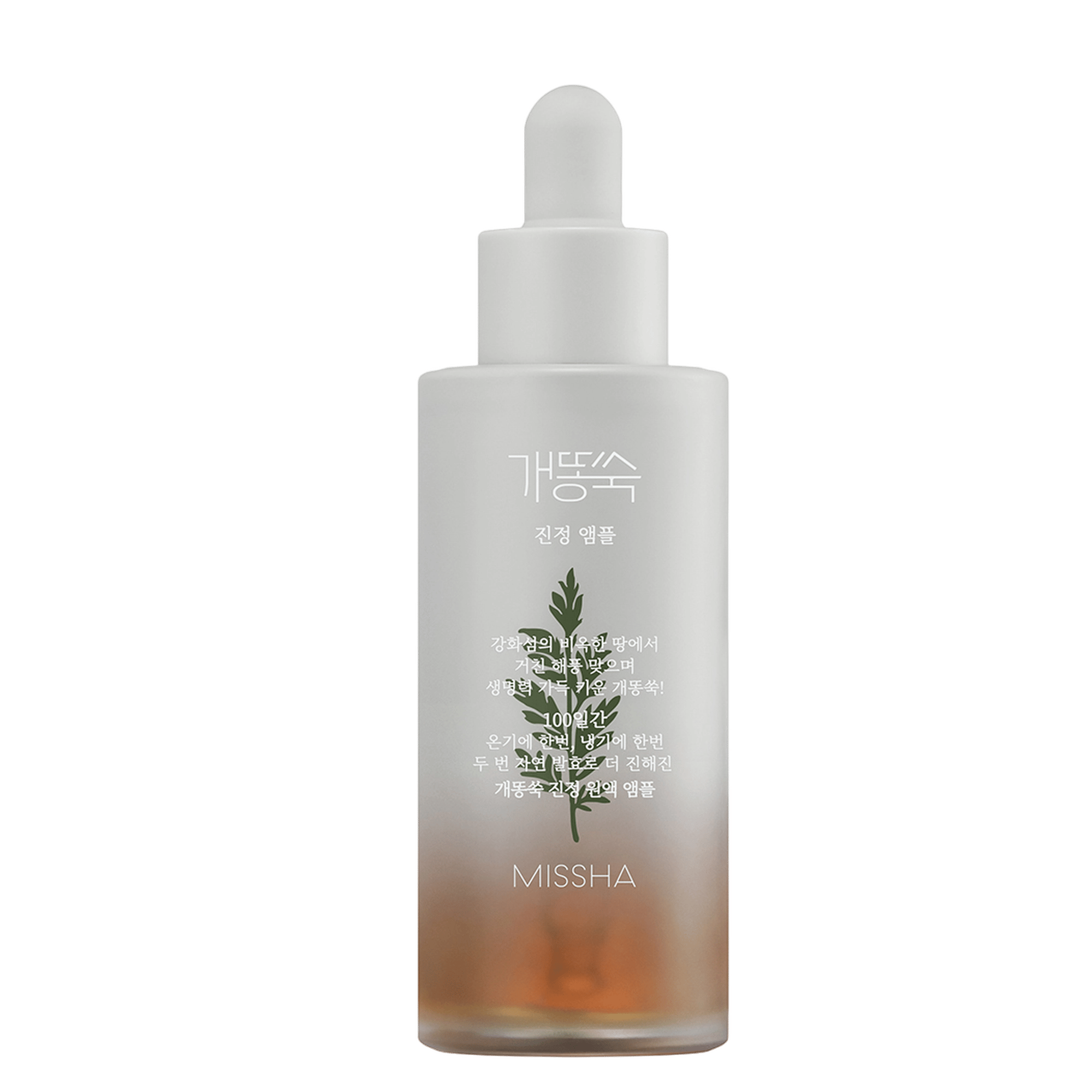Artemisia Soothing Ampoule - Image 1