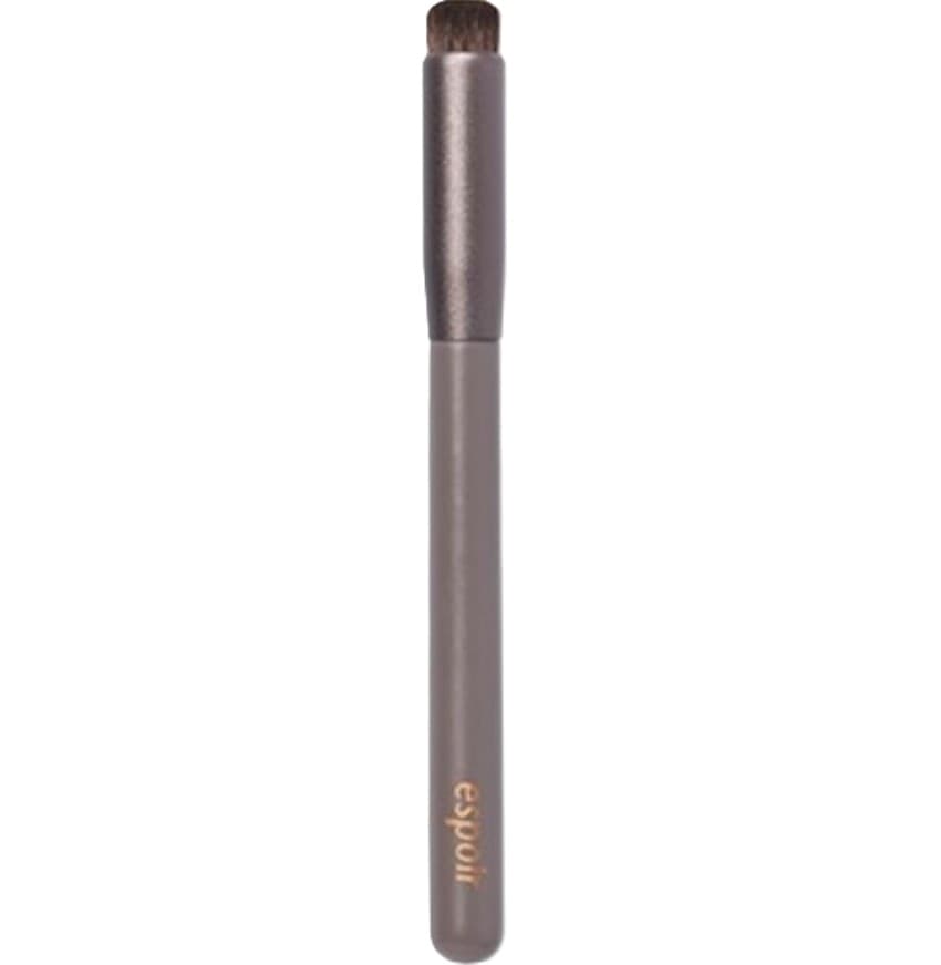 Lip Smudge Brush, 1ea, 1pack - Image 1