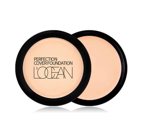 Perfection Cover Foundation, 16g, 11 Shining Beige, 1pack