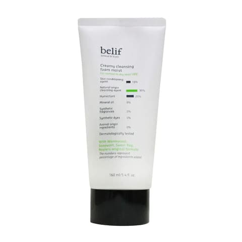 Creamy Cleansing Foam Moist, 160ml, 1pack