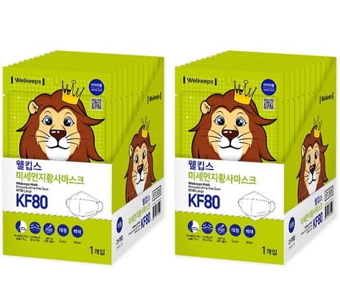 Smart Fine Dust Mask KF80 Large, 50ea