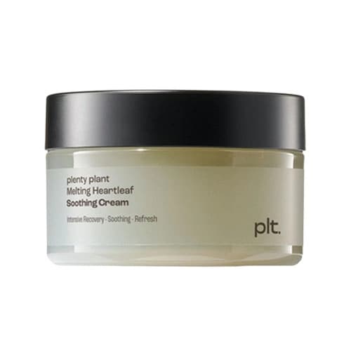 Melting Heartleaf Soothing Cream, 100g, 1pack - Image 1