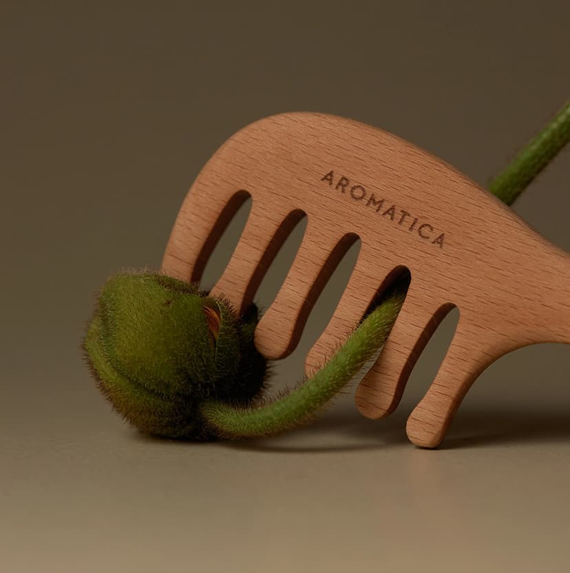 Wooden Scalp Gua Sha, 53mmx140mm - Image 3