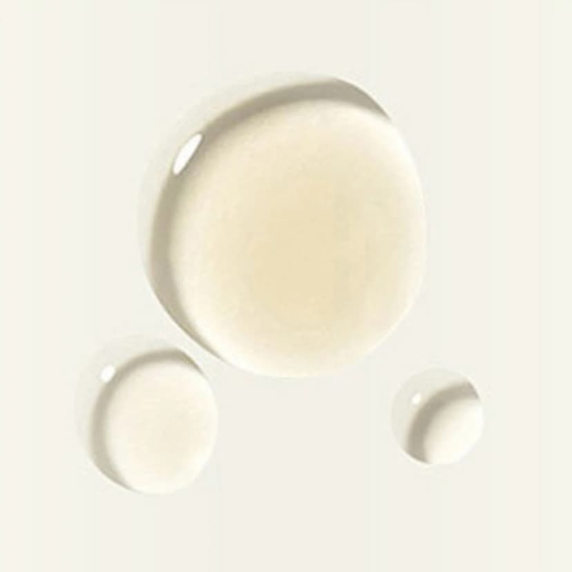 Organience Water & Emulsion Special Set, 180ml + 150ml + 30ml + 30ml, 1set - Image 3