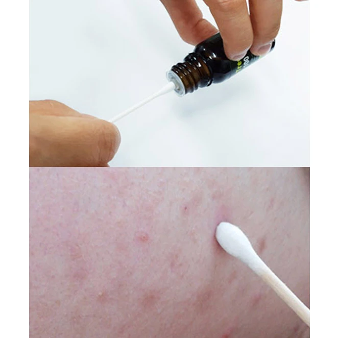 Tea Tree Oil 100 - Image 3