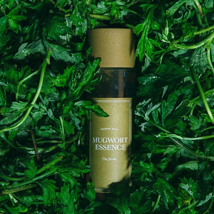 Mugwort Essence - Image 5