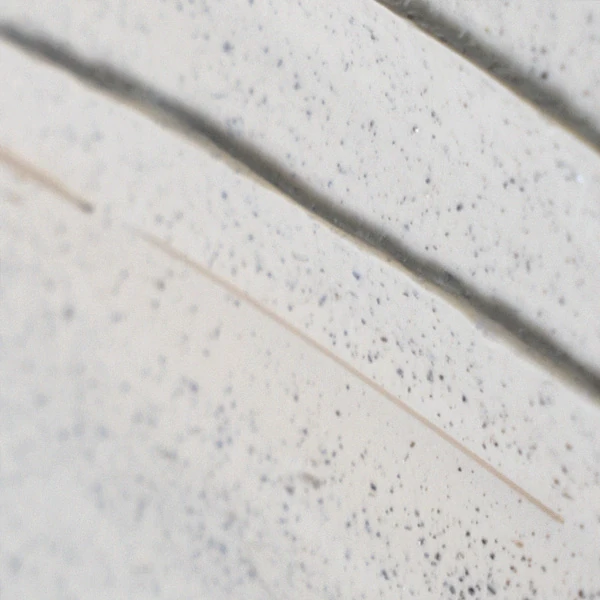 Mugwort Calming Clay Mask 100ml - Image 2