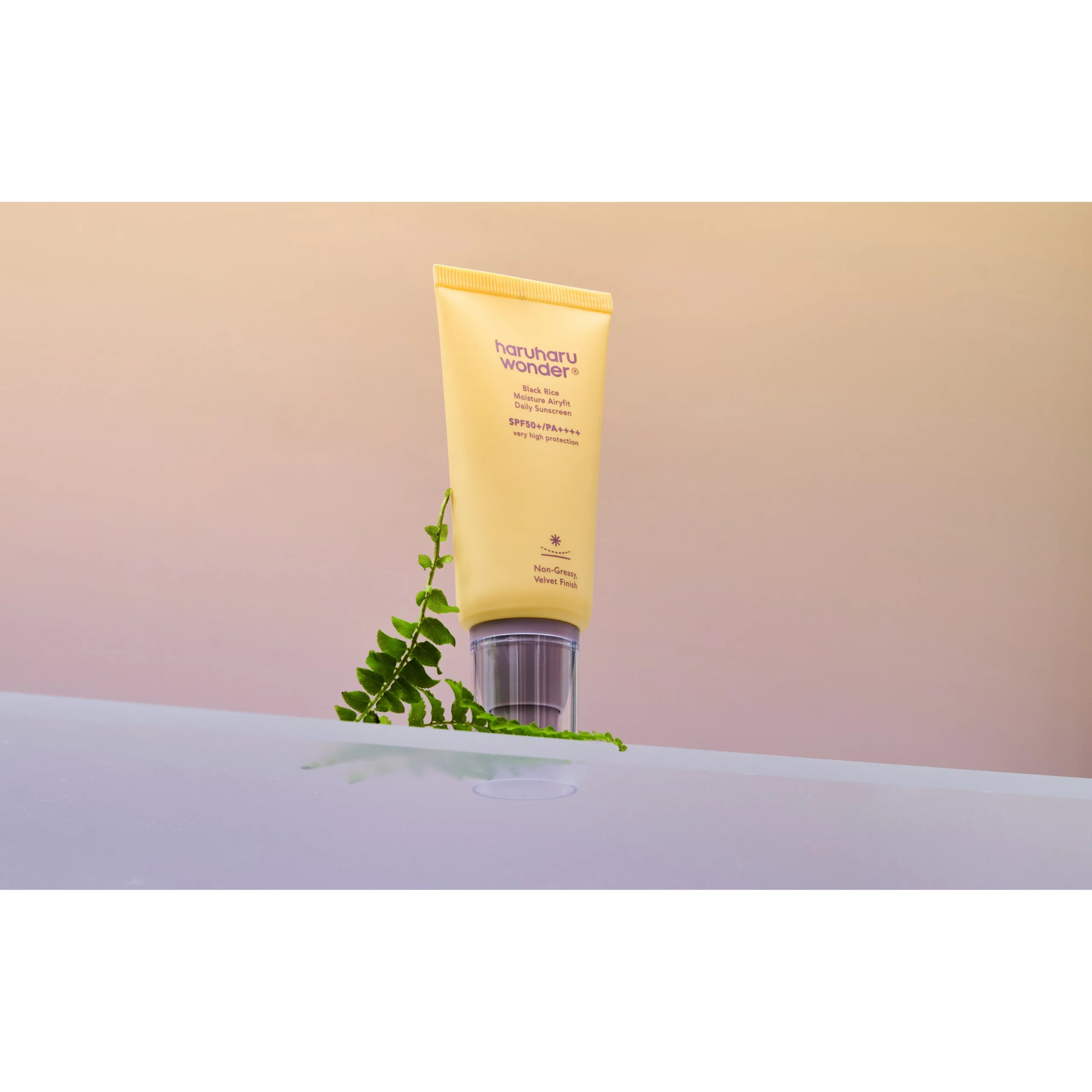 Black Rice Moisture Airyfit Daily Sunscreen - Image 4