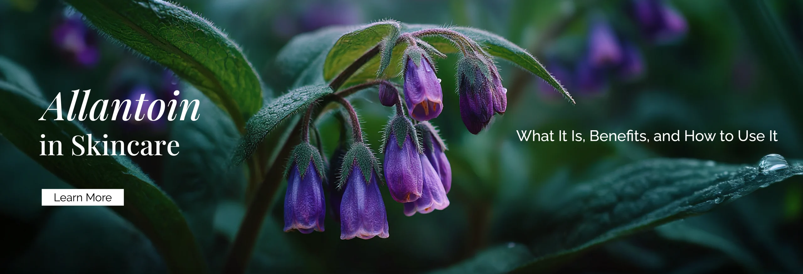 Allantoin in Skincare: What It Is, Benefits, and How to Use It