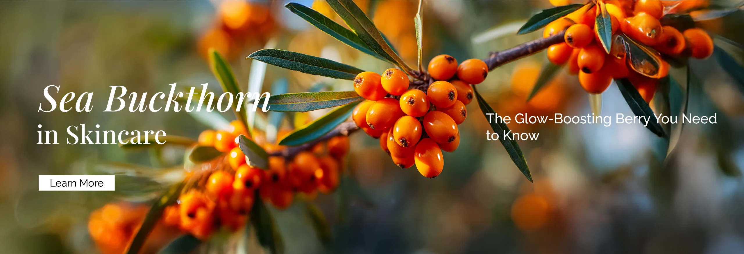 Sea Buckthorn in Skincare: The Glow-Boosting Berry You Need to Know