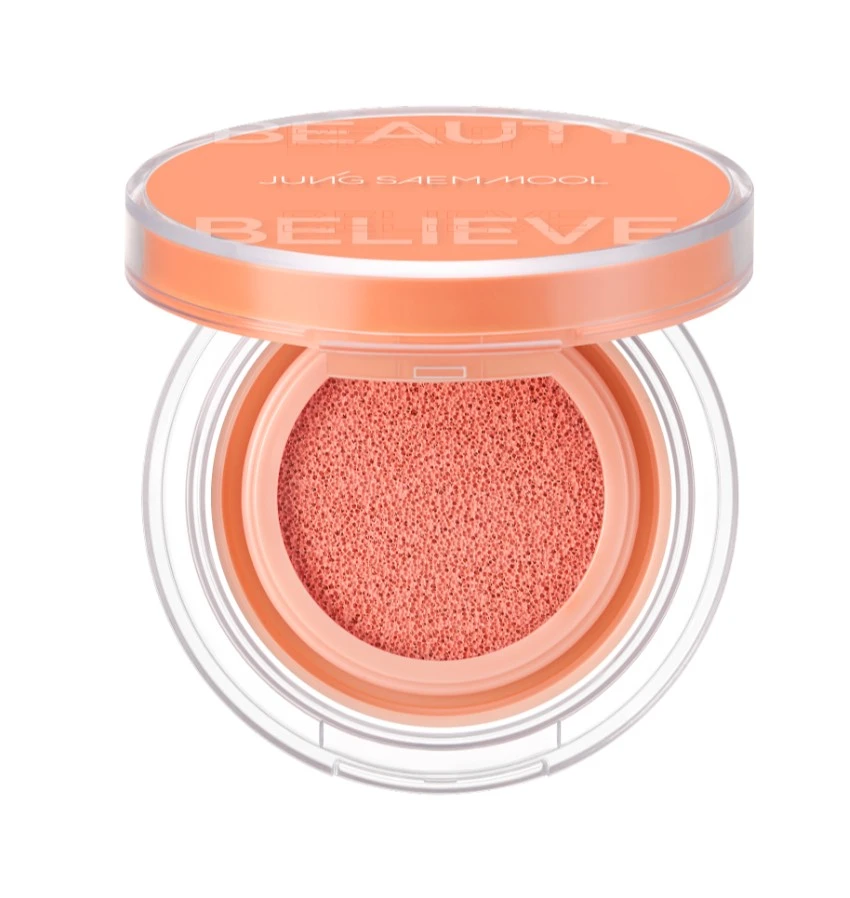 Artist Cushion Blush, 4g, 02 Peach Nectar, 1pack