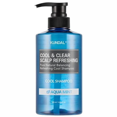 Cool and Clear Scalp Refreshing Cool Shampoo [Aqua Mint], 500ml, 1pack