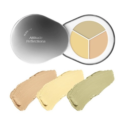 Perfect Cover Concealer Palette, 3.9g, C02, 1pack