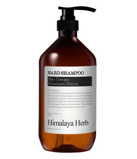 Shampoo [Signature Scent], 500ml, 1pack