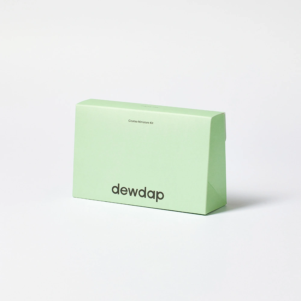 Cicatea Miniature Kit - Image 3