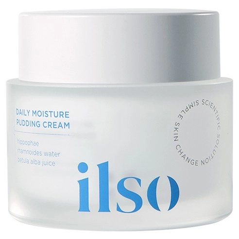 Daily Moisture Pudding Cream, 50ml, 1pack