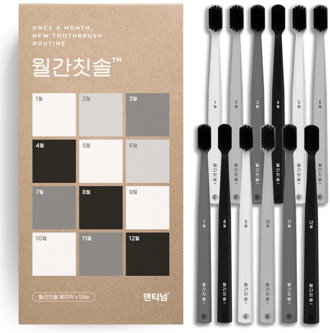 Monthly Toothbrush, 12ea, 1pack