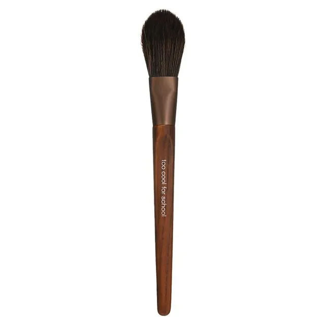 Artist Vegan Face Point Brush, 1ea, 1pack