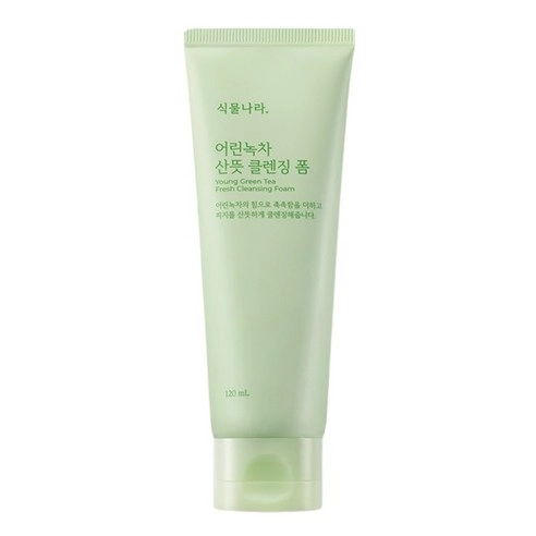 Young Green Tea Refreshing Cleansing Foam, 120ml, 1pack
