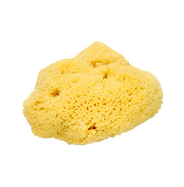 Natural Sea Sponge, 1ea, 1pack