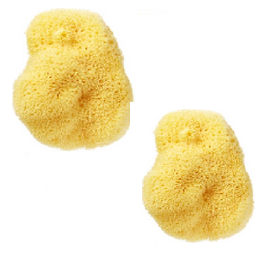 Natural Sea Sponge, 2ea, 1pack