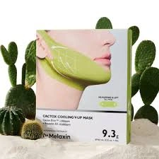 Cactox Cooling V-Up Mask, 4ea - Image 4